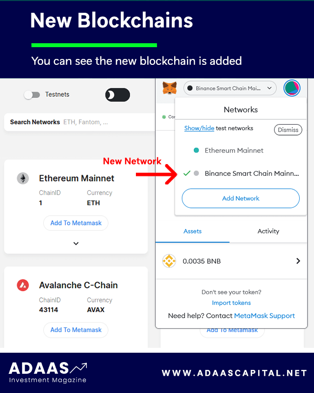 metamask added new blockchain