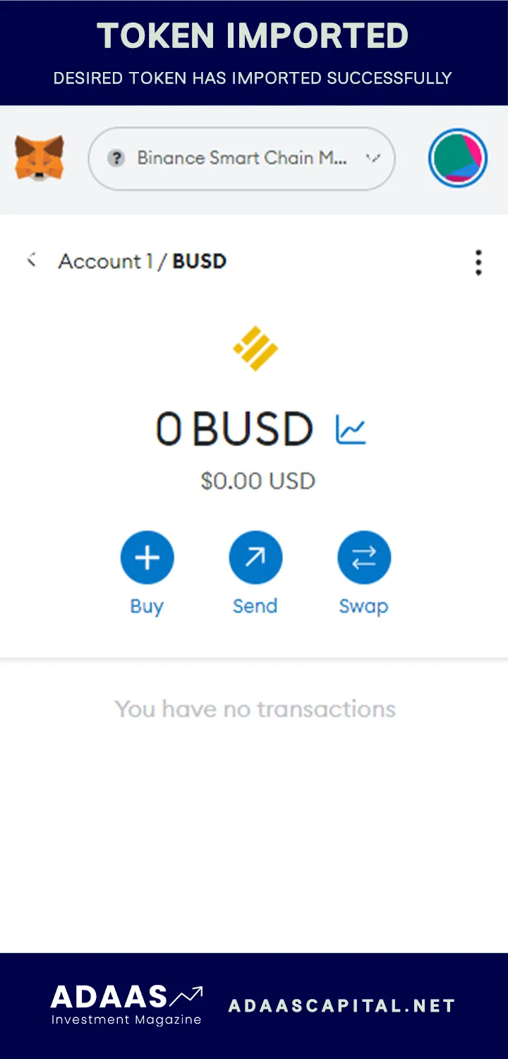 busd token has imported successfully