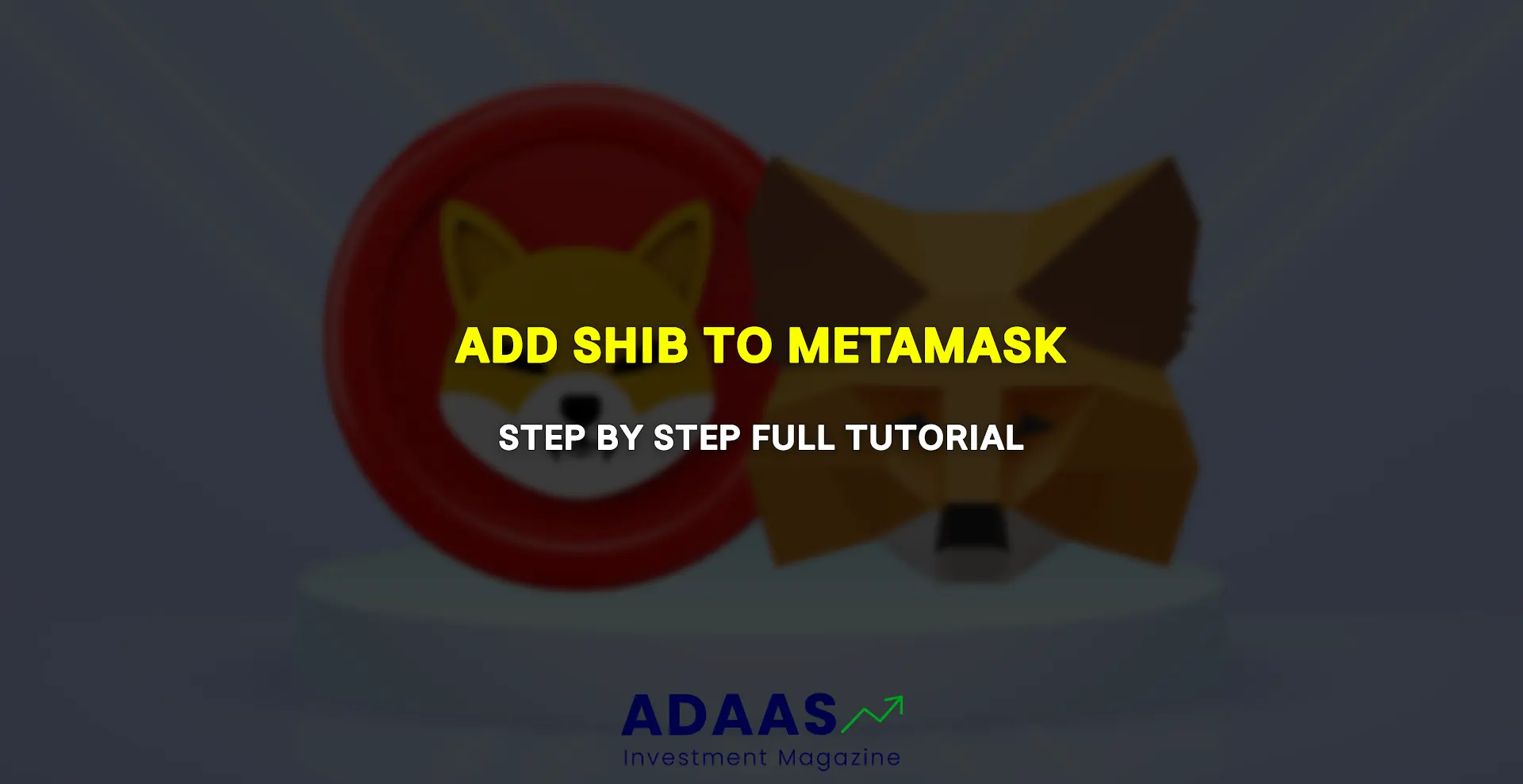 How To Add SHiba Inu To Metamask - thumbnail