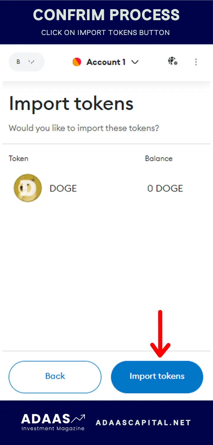 approve adding dogecoin to metamask