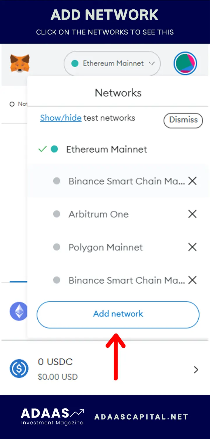 click on add networks button in metamask wallet