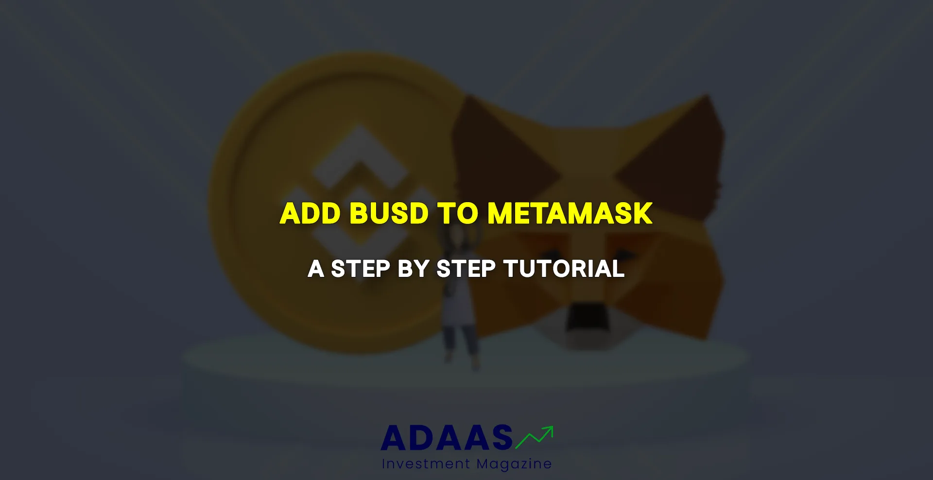 how to add busd to metamask - thumbnail