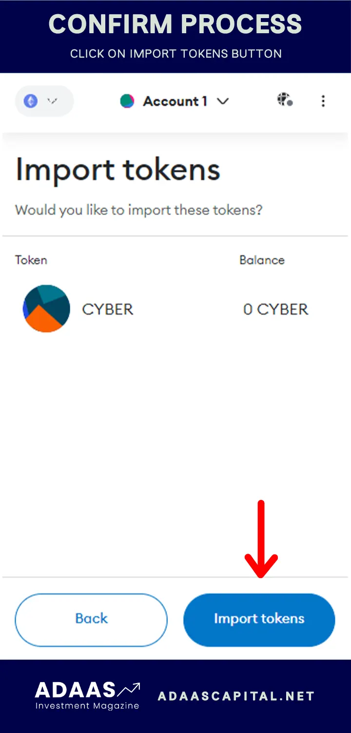 confirm metamask to add CyberConnect