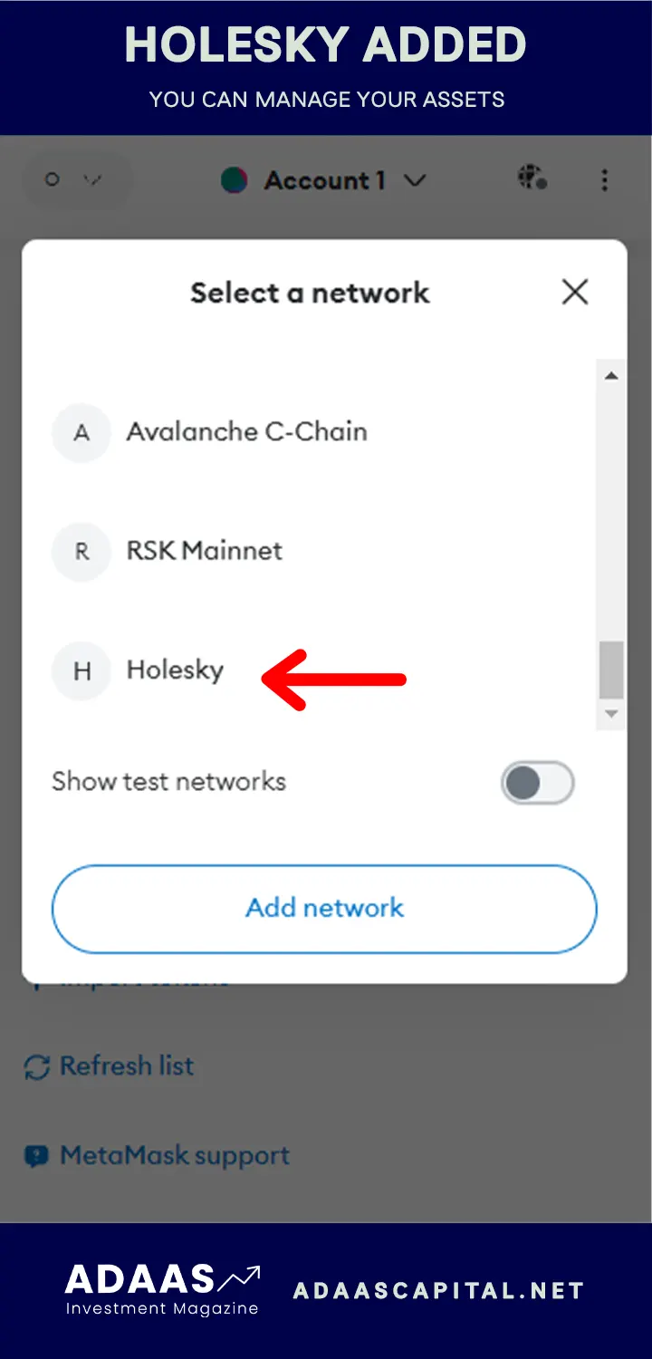 holesky network added to metamask