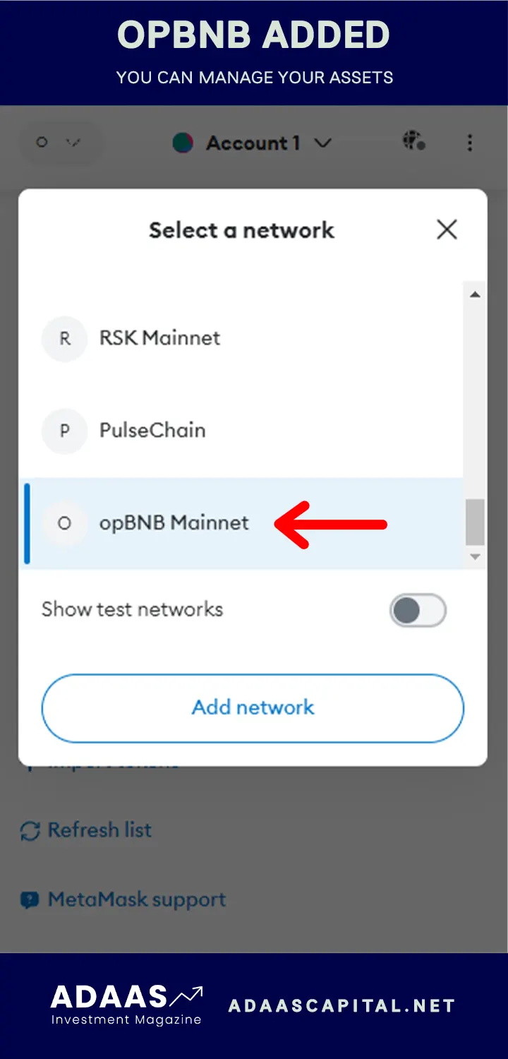 opbnb added to metamask