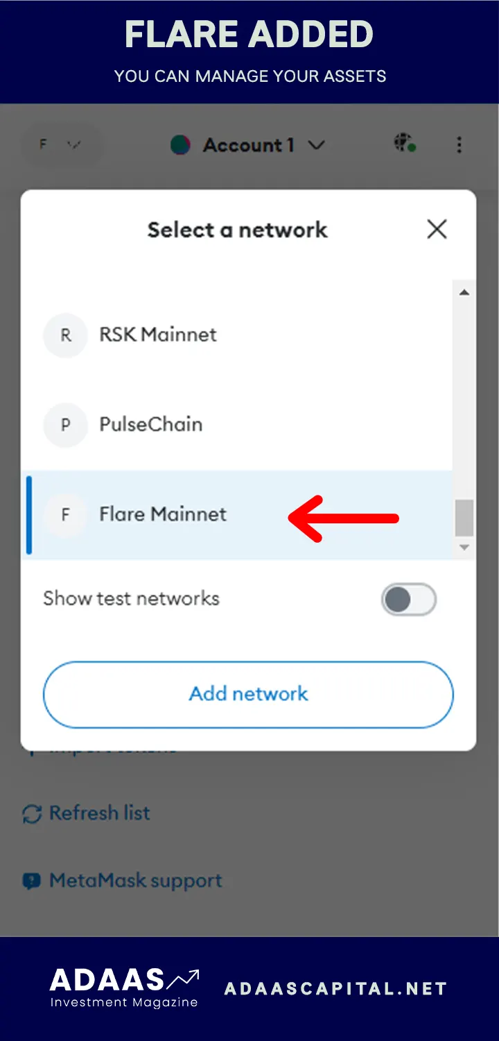 flare network added to metamask wallet